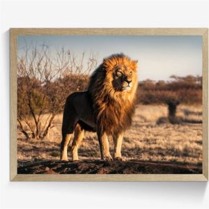 Inred ditt sovrum med affischer