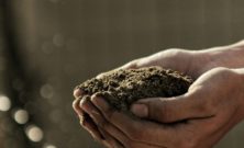 Corten-krukor: Rostiga krukor i hållbart material