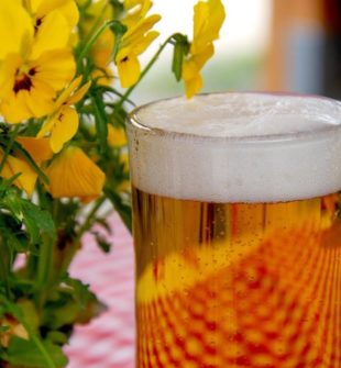 Ölprovning i Göteborg: Hur går en ölprovning till, från början till slut?