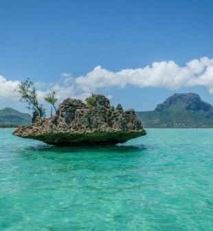 Temaresor som ger resandet en ny mening