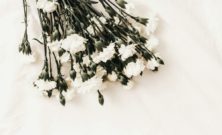 Hjälp vid begravning i Mölnlycke med respekt och värdighet