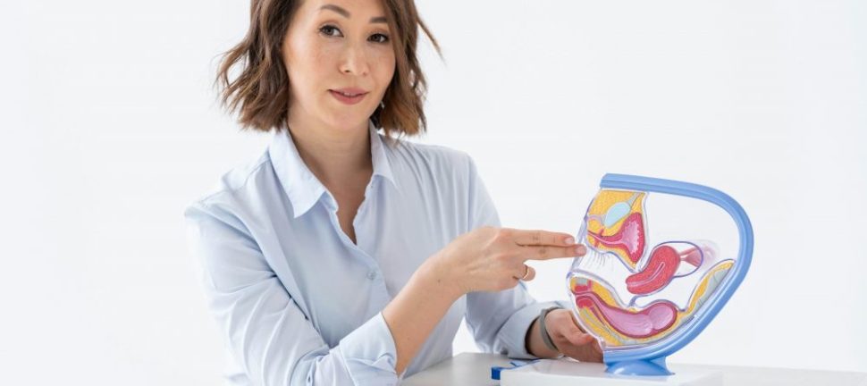 Gynekolog i stockholm  så hittar du rätt vård för dina behov