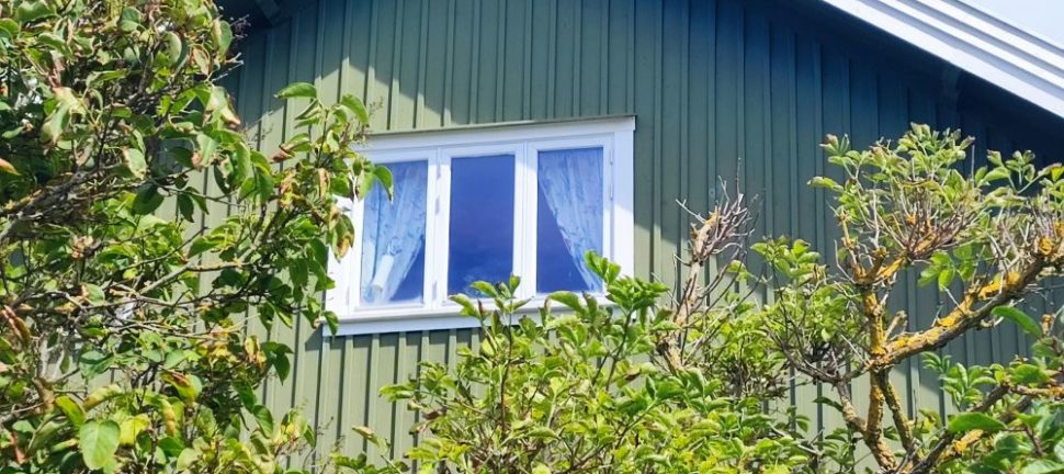 Att lägga papptak i Stockholm: Hållbart takval för nordiskt klimat