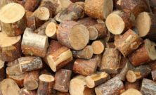 Arborist i lerum  trygg och hållbar trädvård nära dig