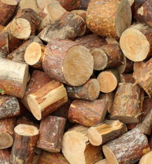 Arborist i lerum  trygg och hållbar trädvård nära dig