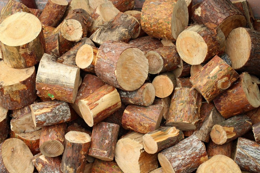 Arborist i lerum  trygg och hållbar trädvård nära dig